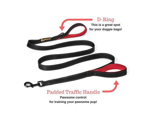 Pawfessor Dion's 6ft Reflective Double Handle Traffic Dog Leash